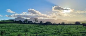 Preview wallpaper field, trees, clouds, mountains, landscape