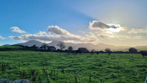 Preview wallpaper field, trees, clouds, mountains, landscape
