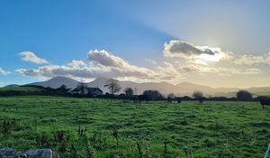 Preview wallpaper field, trees, clouds, mountains, landscape