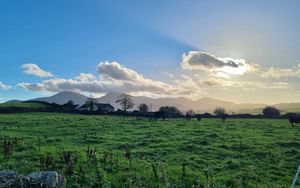 Preview wallpaper field, trees, clouds, mountains, landscape