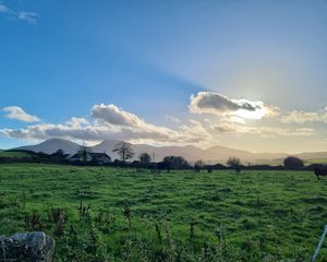 Preview wallpaper field, trees, clouds, mountains, landscape