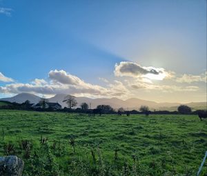 Preview wallpaper field, trees, clouds, mountains, landscape