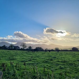Preview wallpaper field, trees, clouds, mountains, landscape