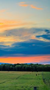 Preview wallpaper field, trees, clouds, sky, horizon, nature