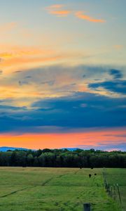 Preview wallpaper field, trees, clouds, sky, horizon, nature