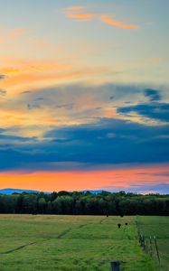 Preview wallpaper field, trees, clouds, sky, horizon, nature