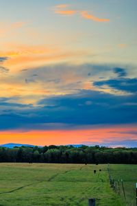 Preview wallpaper field, trees, clouds, sky, horizon, nature