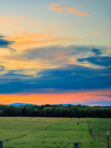 Preview wallpaper field, trees, clouds, sky, horizon, nature
