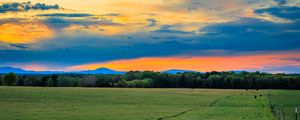 Preview wallpaper field, trees, clouds, sky, horizon, nature