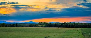 Preview wallpaper field, trees, clouds, sky, horizon, nature