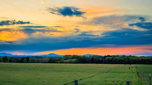 Preview wallpaper field, trees, clouds, sky, horizon, nature
