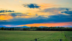 Preview wallpaper field, trees, clouds, sky, horizon, nature