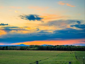 Preview wallpaper field, trees, clouds, sky, horizon, nature
