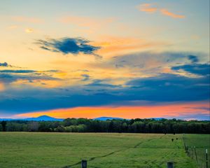 Preview wallpaper field, trees, clouds, sky, horizon, nature