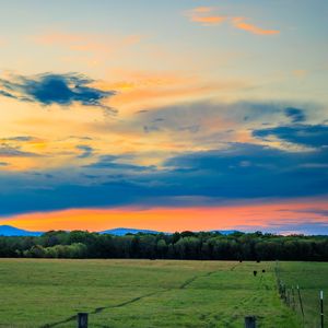 Preview wallpaper field, trees, clouds, sky, horizon, nature