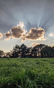 Preview wallpaper field, trees, clouds, rays, light, landscape