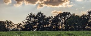 Preview wallpaper field, trees, clouds, rays, light, landscape