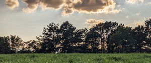 Preview wallpaper field, trees, clouds, rays, light, landscape