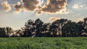 Preview wallpaper field, trees, clouds, rays, light, landscape