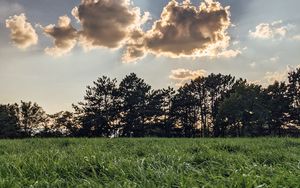 Preview wallpaper field, trees, clouds, rays, light, landscape