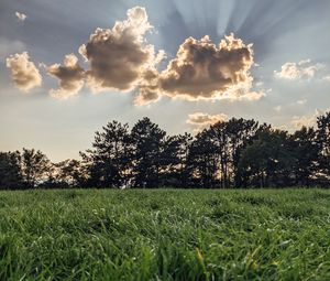 Preview wallpaper field, trees, clouds, rays, light, landscape