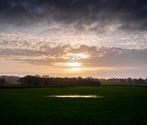 Preview wallpaper field, trees, clouds, sun, nature, landscape