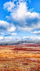 Preview wallpaper field, trees, clouds, landscape, winter, nature