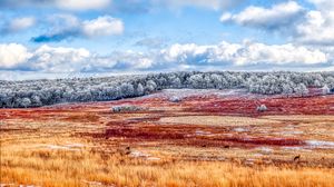 Preview wallpaper field, trees, clouds, landscape, winter, nature