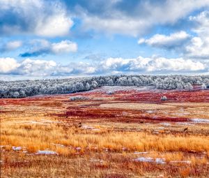 Preview wallpaper field, trees, clouds, landscape, winter, nature