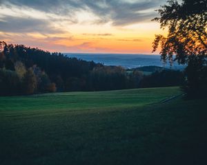 Preview wallpaper field, trees, dusk, hills, landscape