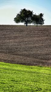 Preview wallpaper field, trees, earth, nature