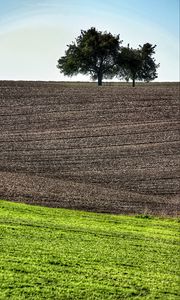 Preview wallpaper field, trees, earth, nature