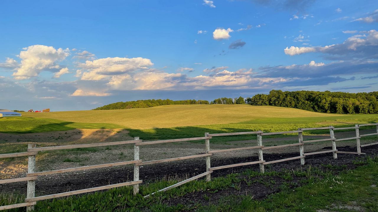 Wallpaper field, trees, fence, landscape, nature