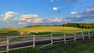 Preview wallpaper field, trees, fence, landscape, nature