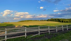Preview wallpaper field, trees, fence, landscape, nature