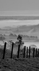 Preview wallpaper field, trees, fog, black and white, nature