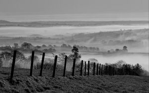 Preview wallpaper field, trees, fog, black and white, nature