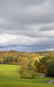 Preview wallpaper field, trees, forest, clouds, sky, nature