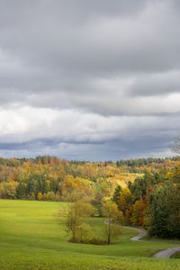 Preview wallpaper field, trees, forest, clouds, sky, nature