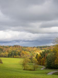 Preview wallpaper field, trees, forest, clouds, sky, nature