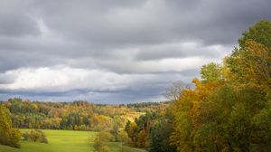 Preview wallpaper field, trees, forest, clouds, sky, nature
