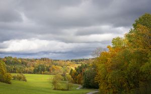 Preview wallpaper field, trees, forest, clouds, sky, nature