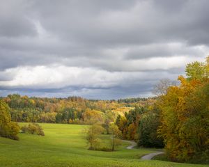 Preview wallpaper field, trees, forest, clouds, sky, nature