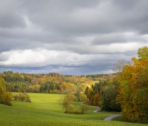 Preview wallpaper field, trees, forest, clouds, sky, nature