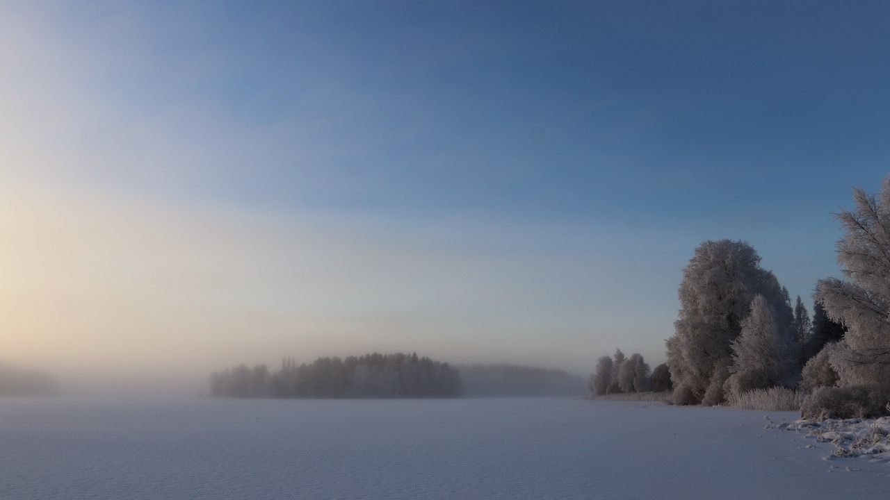 Wallpaper field, trees, forest, fog, snow, winter, sky, nature