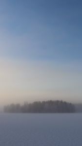 Preview wallpaper field, trees, forest, fog, snow, winter, sky, nature