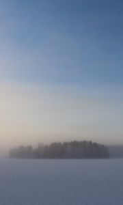 Preview wallpaper field, trees, forest, fog, snow, winter, sky, nature
