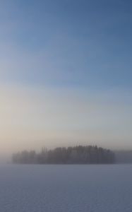 Preview wallpaper field, trees, forest, fog, snow, winter, sky, nature