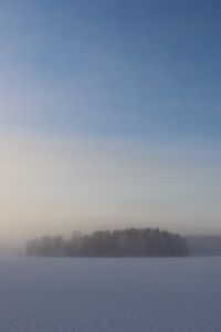 Preview wallpaper field, trees, forest, fog, snow, winter, sky, nature