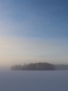 Preview wallpaper field, trees, forest, fog, snow, winter, sky, nature